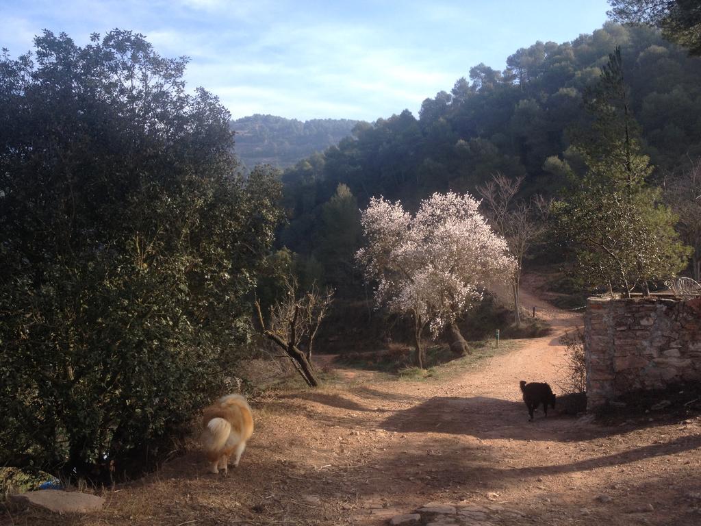 Masia Casajoana Rural Rellinars ภายนอก รูปภาพ