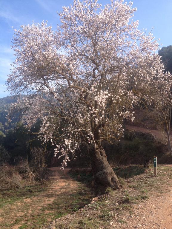 Masia Casajoana Rural Rellinars ภายนอก รูปภาพ